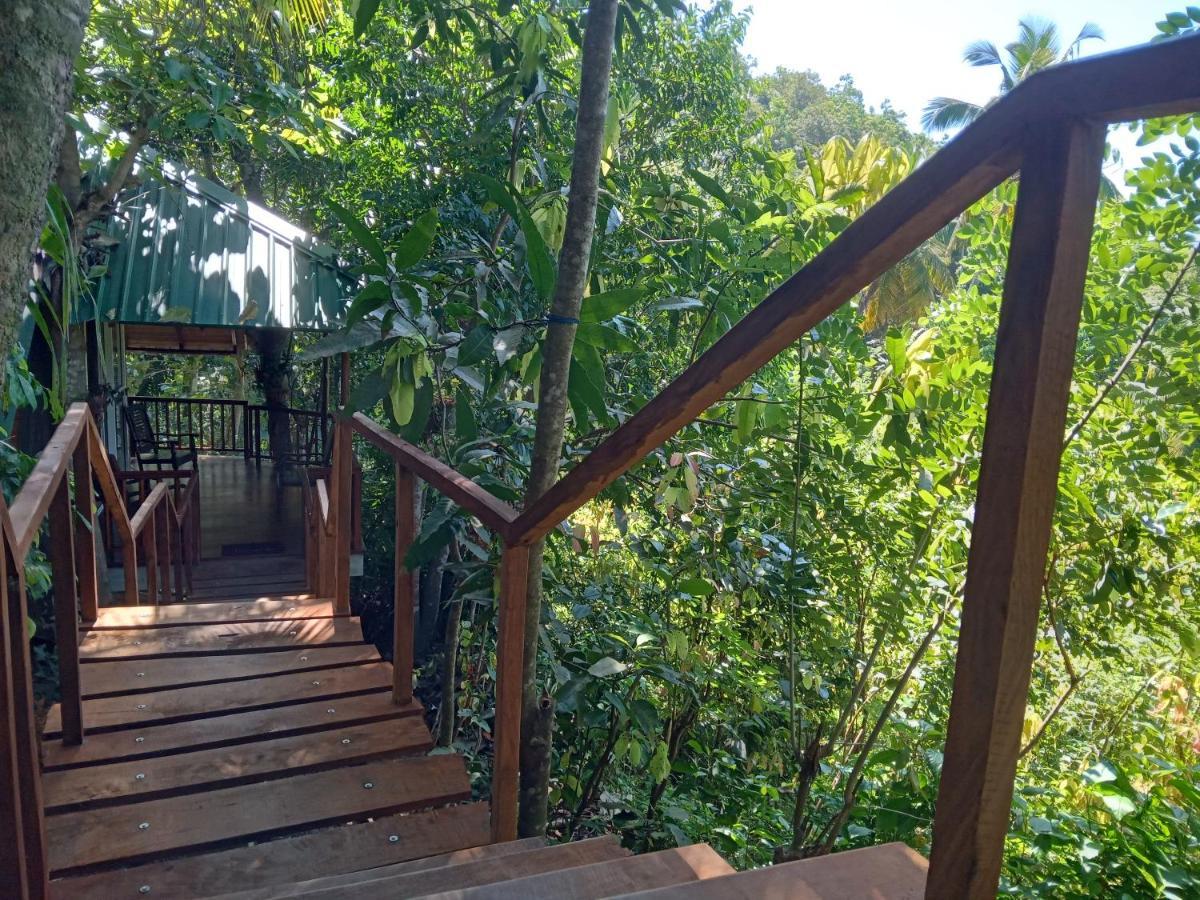 Cinnamon View Lodge Mirissa Exteriér fotografie